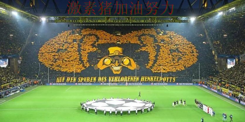 多特蒙德赛后发声震惊球迷