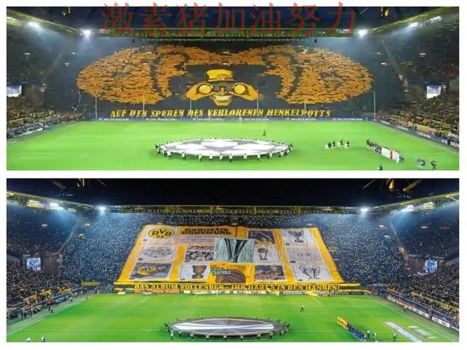 多特蒙德赛后发声震惊球迷