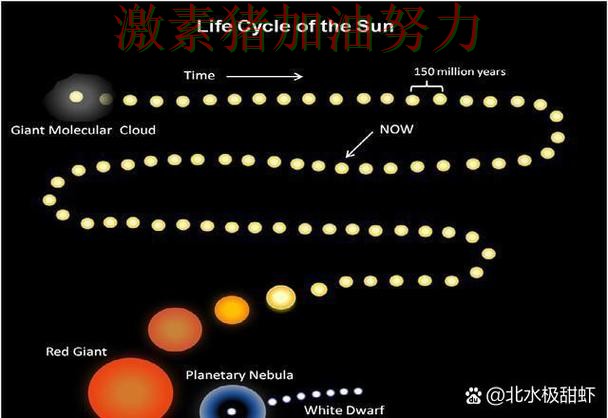 太阳关键轮换发挥奇效